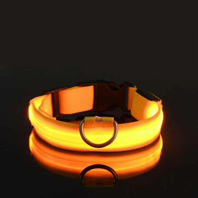 LED Pet Dog Luminous Collar